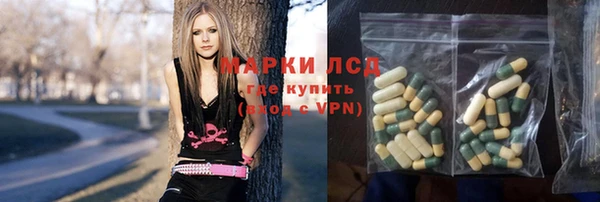 apvp Алзамай