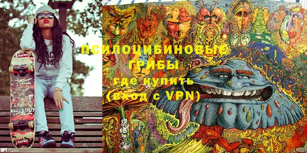 apvp Алзамай