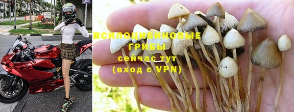 гидропоника Алексин