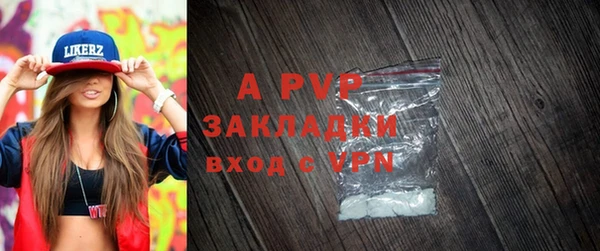 apvp Алзамай