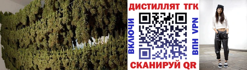 где продают omg ТОР Дистиллят ТГК жижа Черепаново